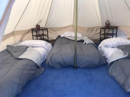 a tent with three pillows in the middle of it at Checkpoint in Rosarito
