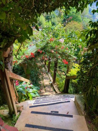 Taman di luar Finca Villa Real