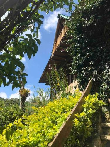 Taman di luar Finca Villa Real