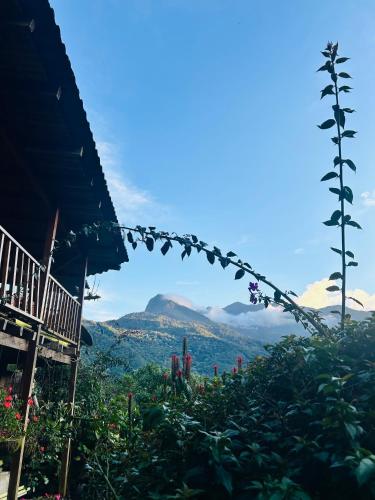 Landskap semula jadi dekat dengan chalet
