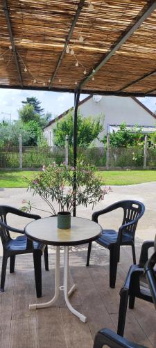 une table et des chaises avec une plante en pot sur une terrasse dans l'établissement le temps d'aime, à Saint-Martin-sur-Ocre