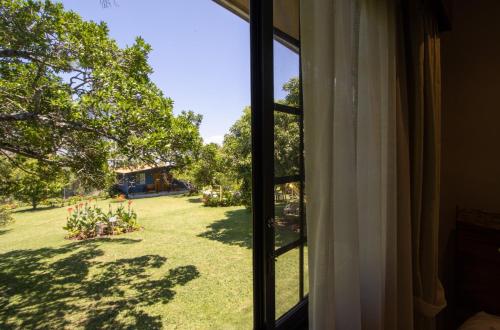 an open window with a view of a yard at Hotel Boutique Los Abetos in Boquete