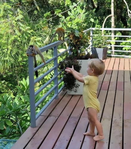 a young child feeding a monkey on a fence at luxury contemporary jungle villa in Quepos