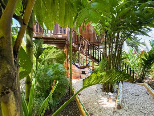 a wooden staircase in a jungle with plants at Hotel Heliconias Nature Inn & Hot Springs in Fortuna