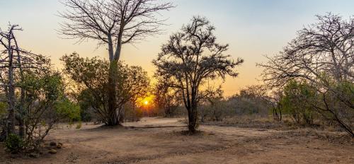 a field with trees and the sunset in the background at Kusudalweni Safari Lodge and Spa in Guernsey Nature Reserve