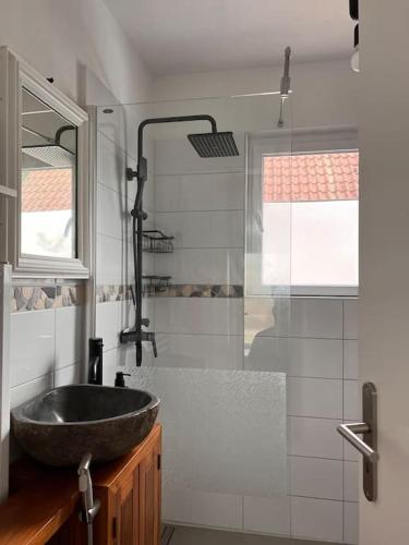 une salle de bain avec lavabo et douche dans l'établissement Design Apartment Bali in Rödersheim-Gronau, à Rödersheim-Gronau