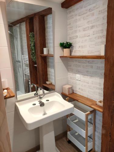 une salle de bain avec un lavabo et un miroir dans l'établissement Le PTit Atelier, Appartement cosy à Champagnole, à Champagnole
