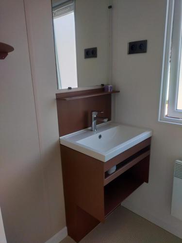 une salle de bain avec un lavabo et un miroir dans l'établissement Mobil Home 5-6 personnes Carry le Rouet, à La Pastissière