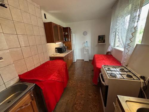 a kitchen with two beds and a stove in it at Kudruküla majake in Narva-Jõesuu