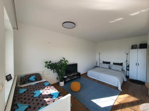 Postel nebo postele na pokoji v ubytování Apartma Tomažič