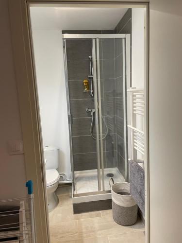 une salle de bain avec douche et toilettes dans l'établissement Appartement cité gastronomique, à Dijon