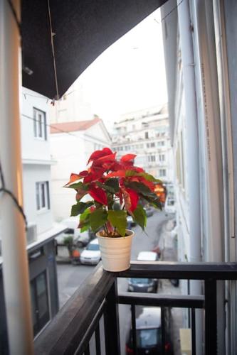 Angel - Cozy, renovated, studio in Athens heart