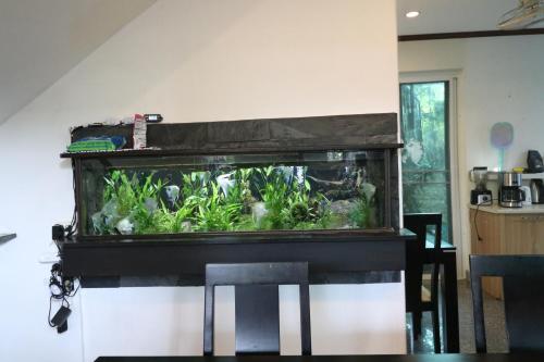 a large fish tank sitting on top of a table at Beach House @ Khao Tao in Khao Tao