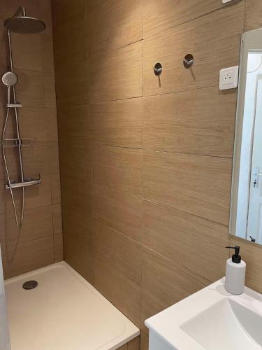 une salle de bain avec douche et lavabo dans l'établissement Marseille centre - wifi - lave et sèche linge - calme - cuisine, à Marseille