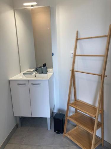 La salle de bains est pourvue d'un miroir, d'un lavabo et d'une échelle. dans l'établissement F2 neuf cosy et élégant avec terrasse, parking, WIFI, à Chamalières