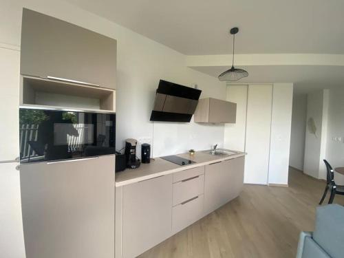 Kuchyň nebo kuchyňský kout v ubytování F2 neuf cosy et élégant avec terrasse, parking, WIFI