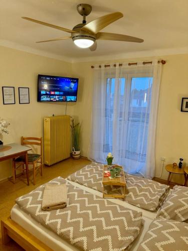 Afbeelding uit fotogalerij van Gästehaus Anna Top 1 in Graz