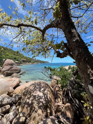 a view of a beach with rocks and a tree at Tao Thong Villa 1 in Koh Tao