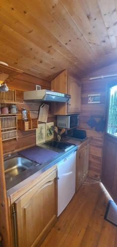 une cuisine avec un évier et une cuisinière dans l'établissement Aurel inattendu, à Aurel