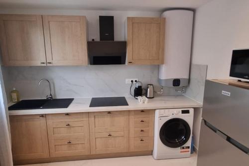 une cuisine avec un évier et une machine à laver dans l'établissement Appartement Lacassagne-près de la Gare, à Lyon