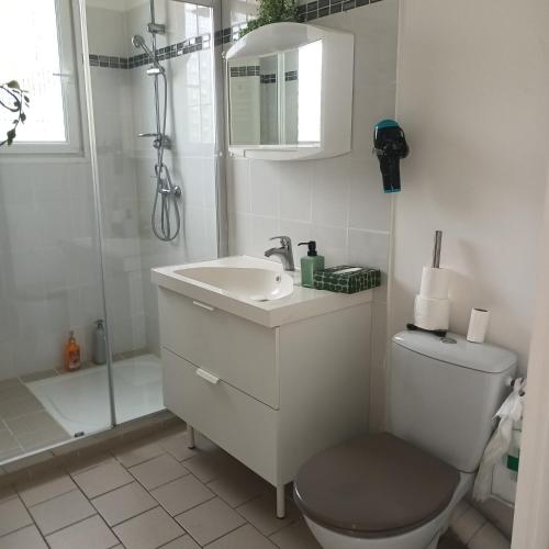 une salle de bain avec toilettes, lavabo et douche dans l'établissement la maison au bord de l'eau, à Liancourt-Saint-Pierre