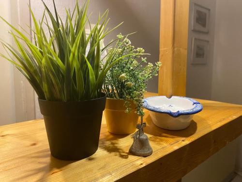 three potted plants sitting on a wooden table at LEO Apartment in Belgrade
