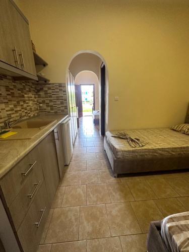 Gallery image of THE FLOWER APARTMENTS in Toroni
