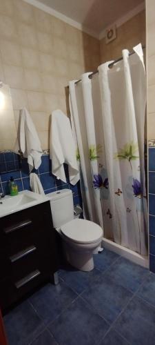 a bathroom with a toilet and a shower curtain at Casa Rabel in Fuencaliente de la Palma