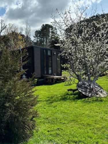 a house in a garden with a statue of a turtle at Golden Valley Retreat by Tiny Away in Waihi