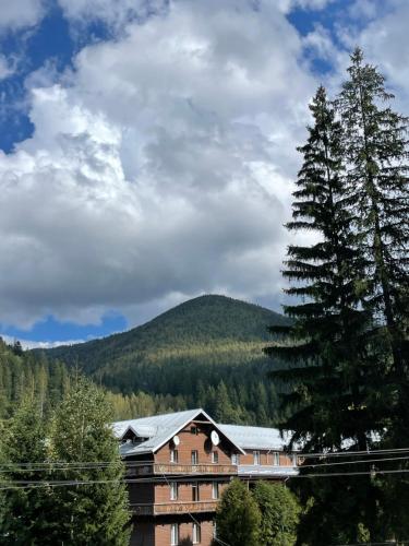 a building with a tree in front of a mountain at Лелеч in Tatariv