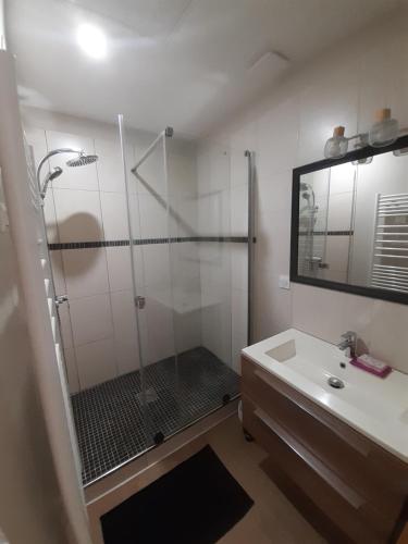 une salle de bain avec douche et lavabo dans l'établissement Spacieux et Cosy Duplex centre historique - 2 Chambres - Transport facile, à Valenciennes