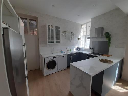 une cuisine avec un évier et une machine à laver dans l'établissement Spacieux et Cosy Duplex centre historique - 2 Chambres - Transport facile, à Valenciennes