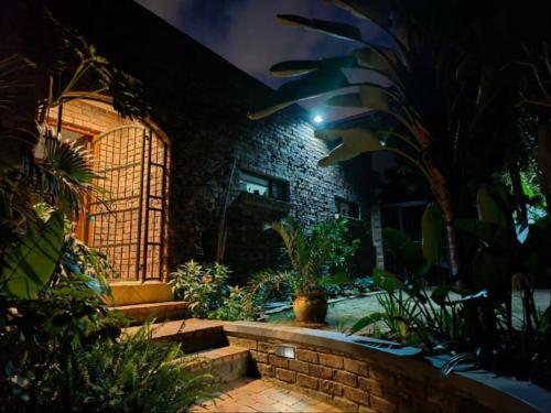 a house with a bunch of plants in the yard at Hidden Gem RUWARI in Cape Town