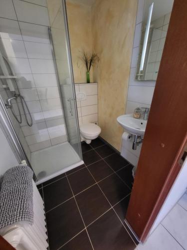 a bathroom with a shower and a toilet and a sink at Hotel Schönblick in Bad Herrenalb