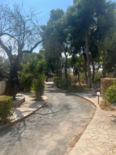 Κήπος έξω από το Beach House