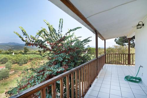 a balcony with a view of a tree at Villa Sugar Town in Zakharo