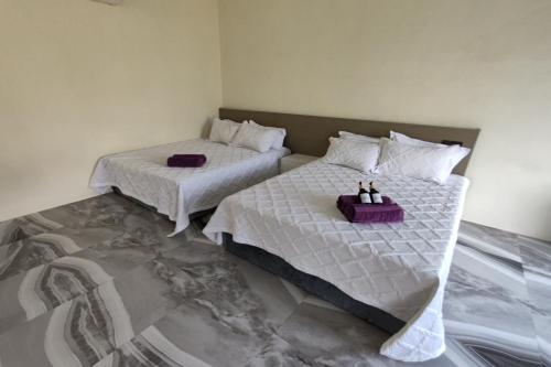 Postel nebo postele na pokoji v ubytování Grand Aeden Villa