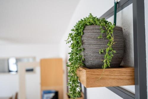 Gambar di galeri bagi Ferienhaus-am-Walnussbaum di Mirow
