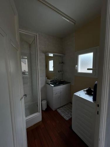 une salle de bain avec un lavabo, une douche et un miroir dans l'établissement Maison à 50 m de la plage, à Saint-Jean-le-Thomas