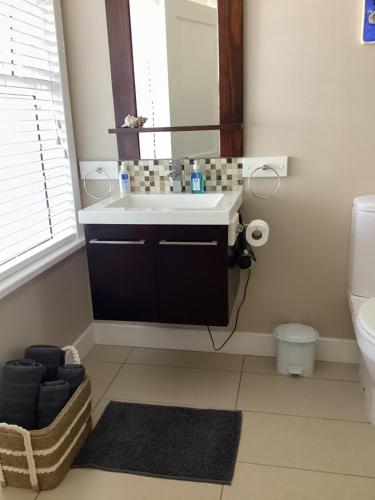 a bathroom with a sink and a mirror at Chez James in Yzerfontein