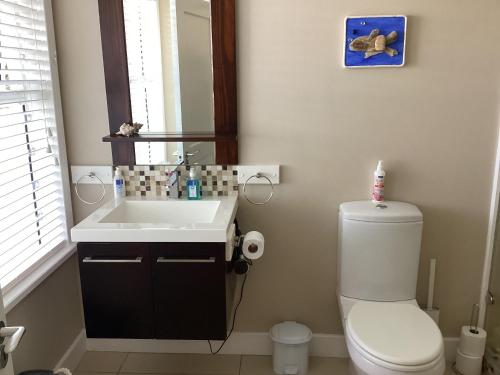 a bathroom with a white toilet and a sink at Chez James in Yzerfontein