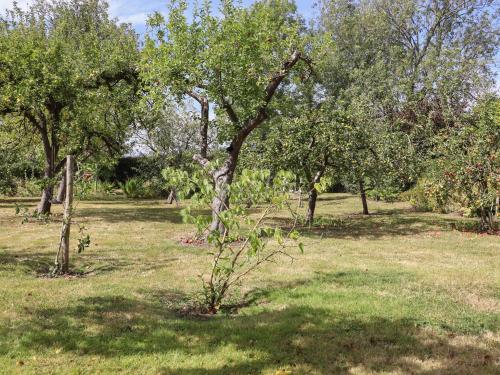 a group of trees in a field with grass at The Old Stables in Ashford