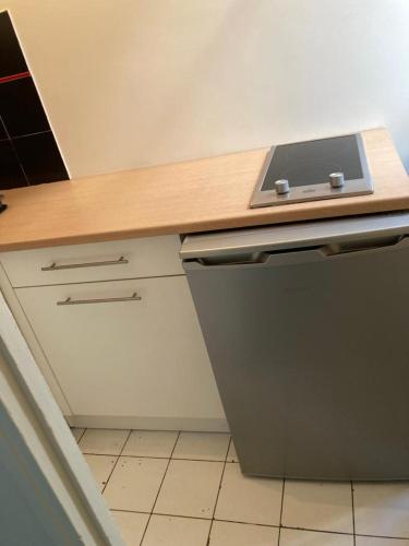Il comprend une cuisine équipée d'un comptoir en bois et d'un réfrigérateur. dans l'établissement studio, à Paris