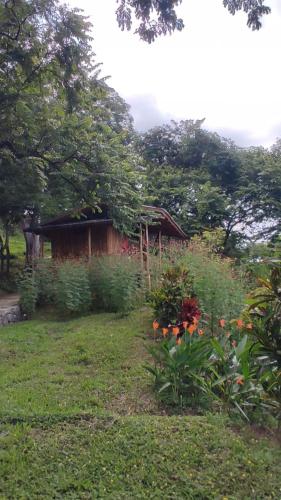 a garden with a small house and some flowers at Finca Colibri Ecolodges en Pleine Nature ferry Playa Najanjo Costa Rica in Cabo Blanco