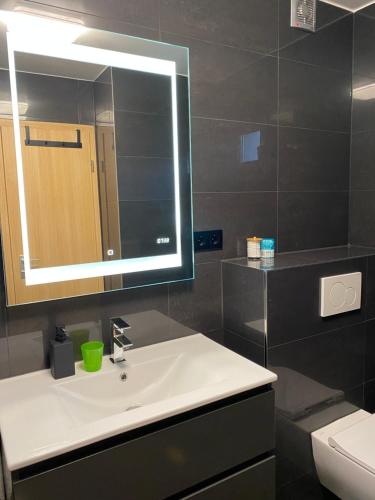 a bathroom with a sink and a mirror at 1 grosse elegante Zimmerwohnung 5 Minuten zu Fuss in die Stadtmitte in Lörrach