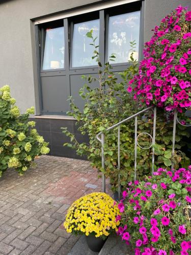 a bunch of flowers in front of a building at 1 grosse elegante Zimmerwohnung 5 Minuten zu Fuss in die Stadtmitte in Lörrach