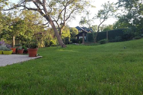 a grassy yard with a tree and some plants at Klasický dům, 5 ložnic , 5 bedrooms, Praha in Prague