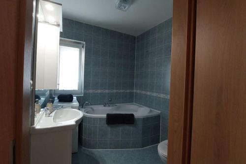 a bathroom with a sink and a tub and a toilet at Klasický dům, 5 ložnic , 5 bedrooms, Praha in Prague