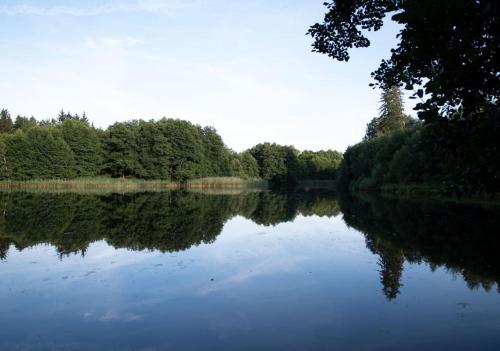 a view of a river with trees in the background at Chata Na Palouchu in Komorovice