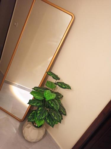 Visitors not allowed, unmarried couples not allowed,Unique studio by the sea, between Hilton and four seasons in the heart of Alexandria, no view